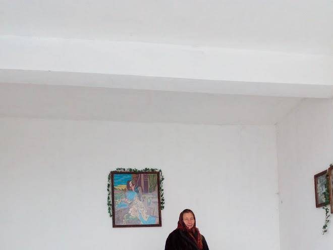 Vila cu mesteacan