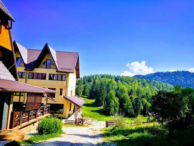 Valea cu brazi