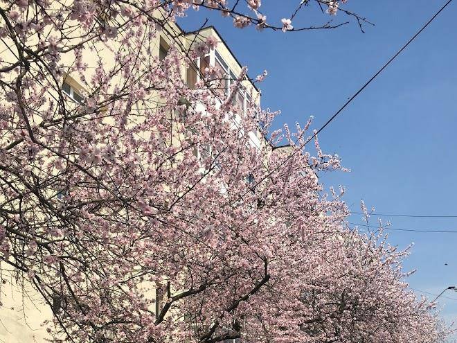 Pensiune restaurant avangarde cazare piteti
