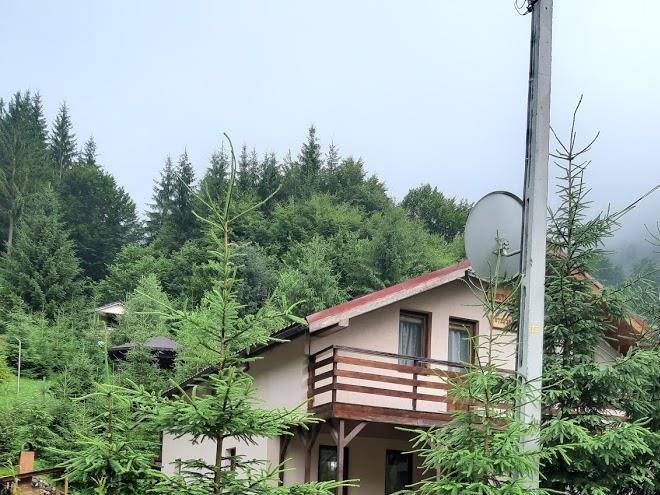 Casuta cu brazi