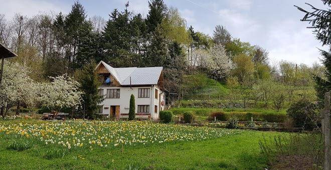 Pensiunea paradis valea danului