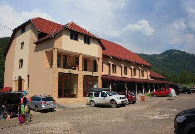 Craiasa munilor