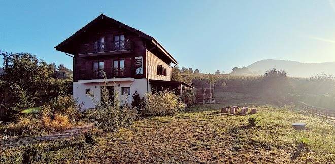 Pensiunea dorel codoban