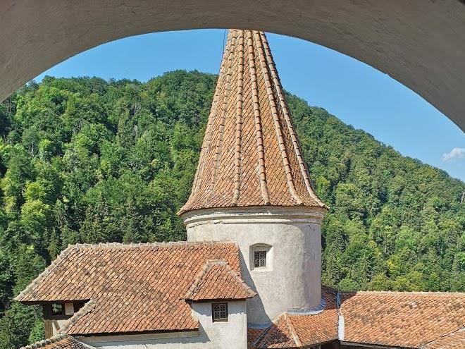 Briza de munte