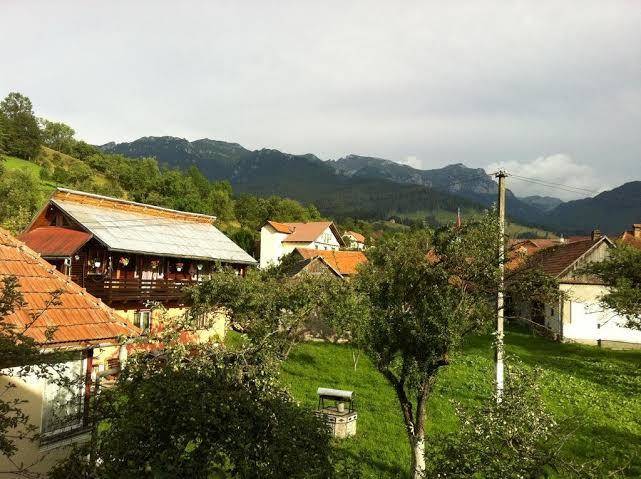 Pensiunea constana