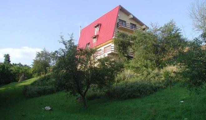Poiana verde