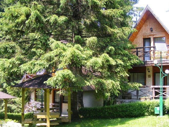 Traveland poiana brasov