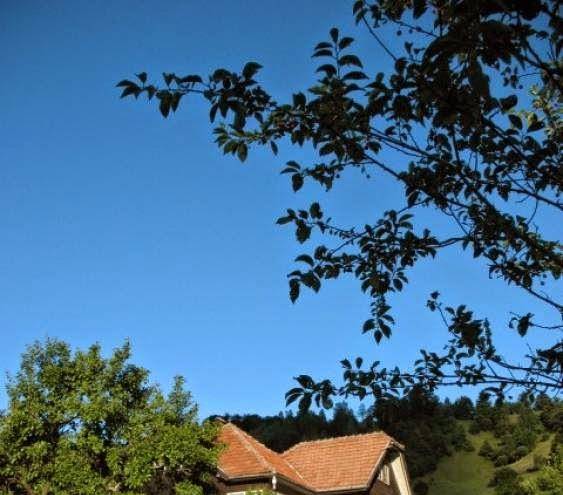 Casa loredana