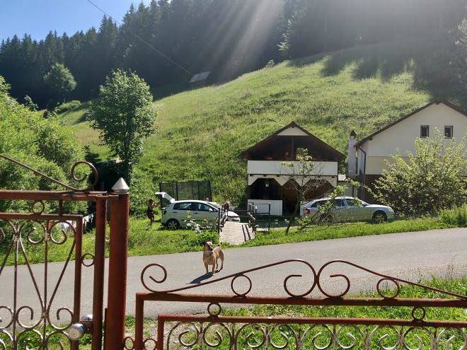 Casuta De Langa Padure Image