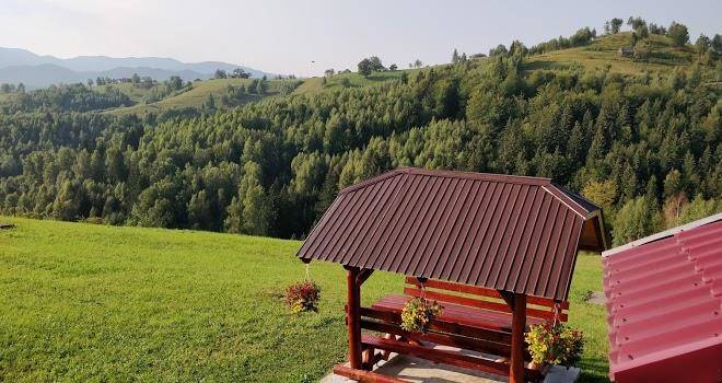 Garofita pietrei craiului