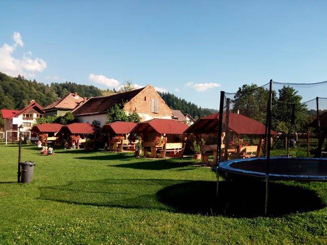 Mogan gheorghe pfa