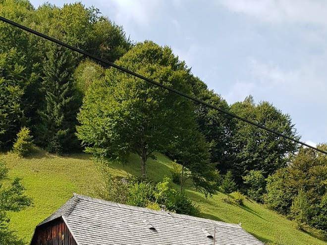 Pensiunea valea cu calea