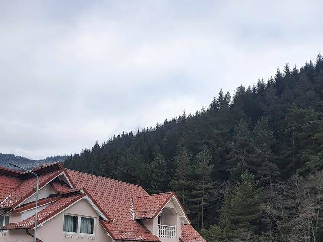 Vila anelisse