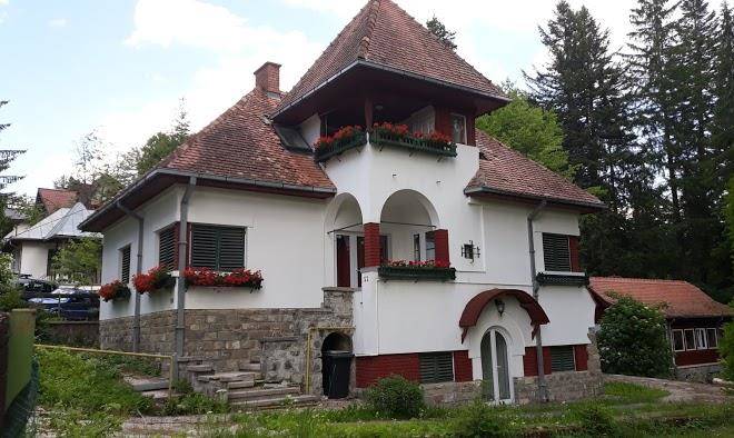 Vila maroni