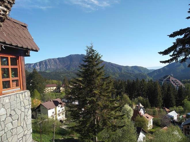 Vila milcov