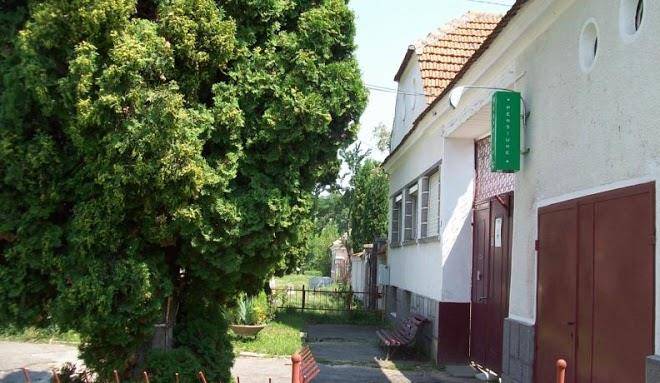 Pensiunea magnolia