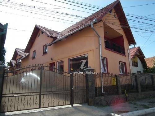 Vila vladu zarneti