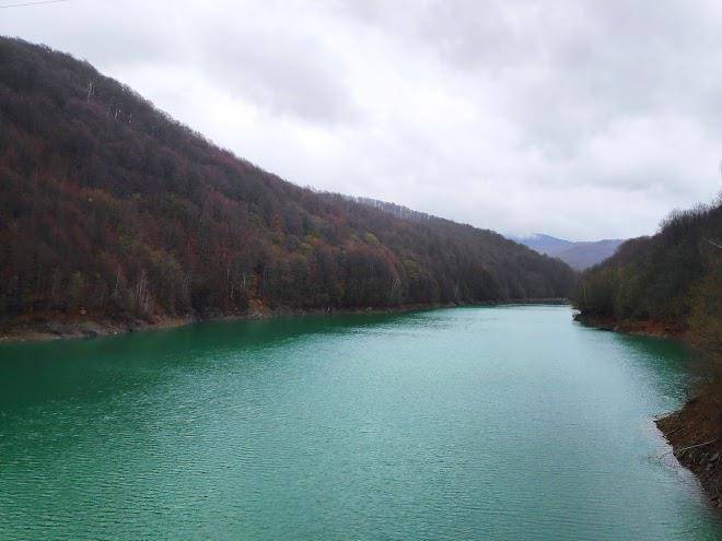 Cismigiu Orchid Garden Image