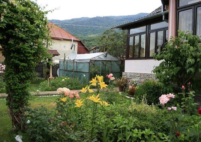 Cazare nehoiu pensiunea casa fetic