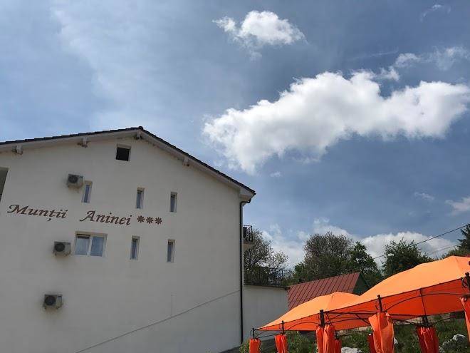 Pensiunea muntii aninei