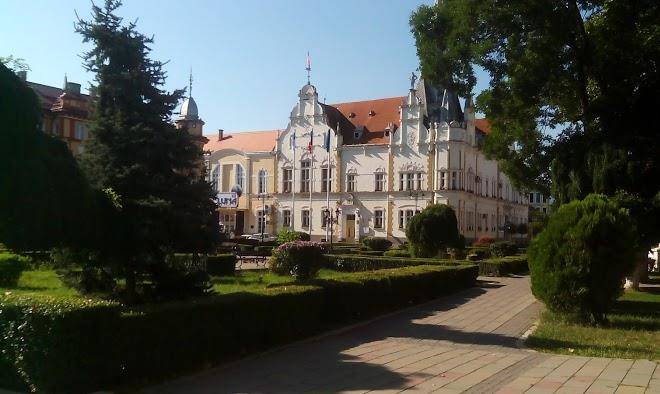 Vila palace