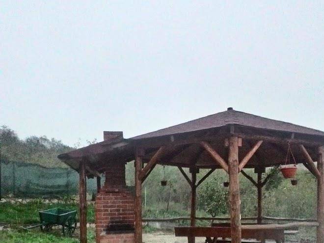Casa dolly
