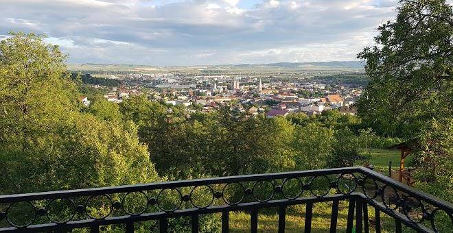 Pensiunea bella vista turda