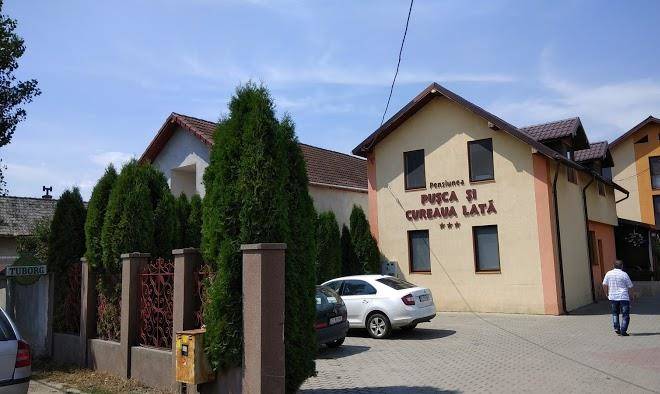 Pusca si cureaua lata