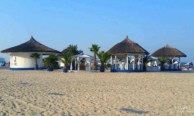 Mamaia Beach Side Image