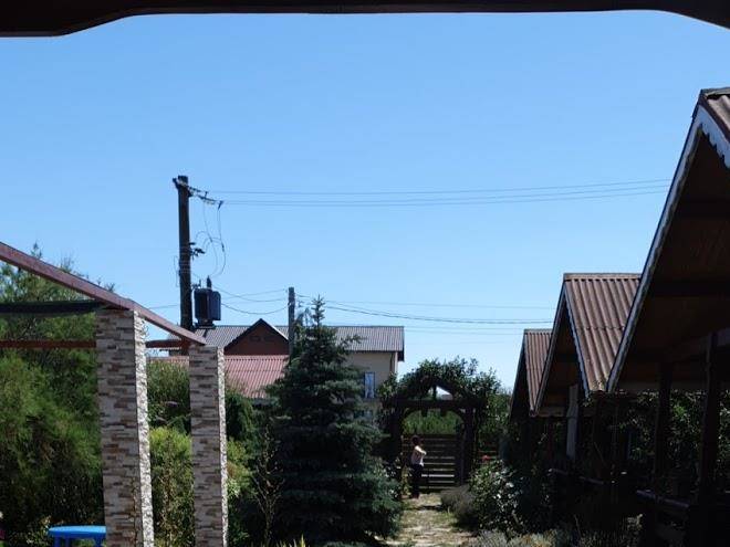 Cabane de lemn