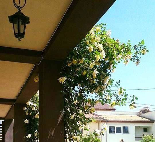 Casa chocolatte