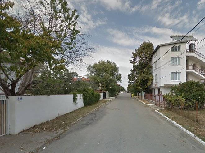Vila florina vaduva