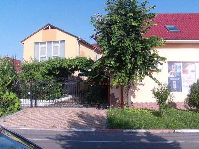 Vila liana costinesti