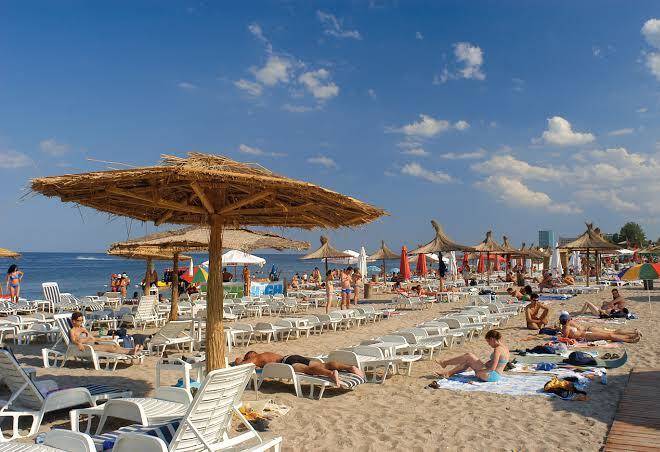 Bran Brad Bega Image