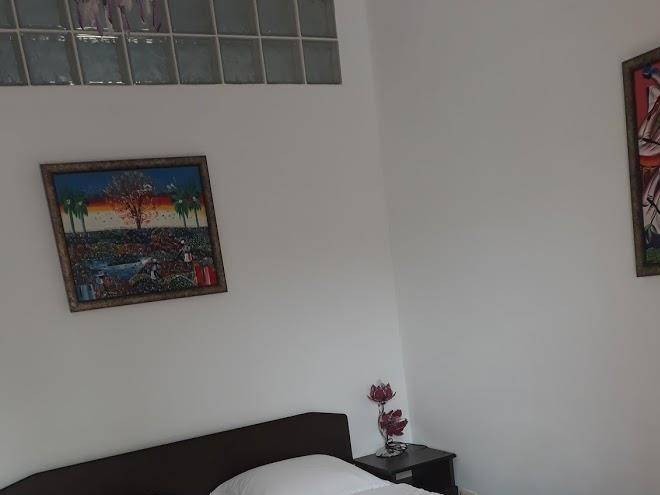 Vila timona