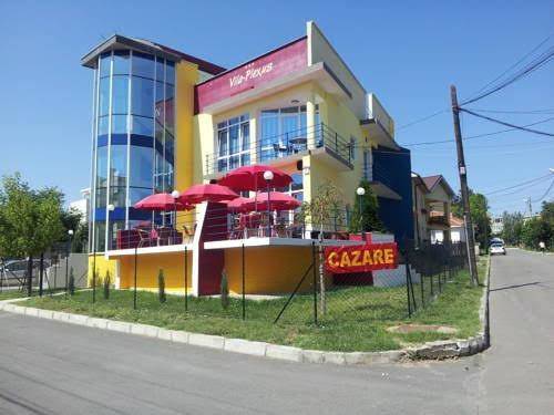 Vila plexus