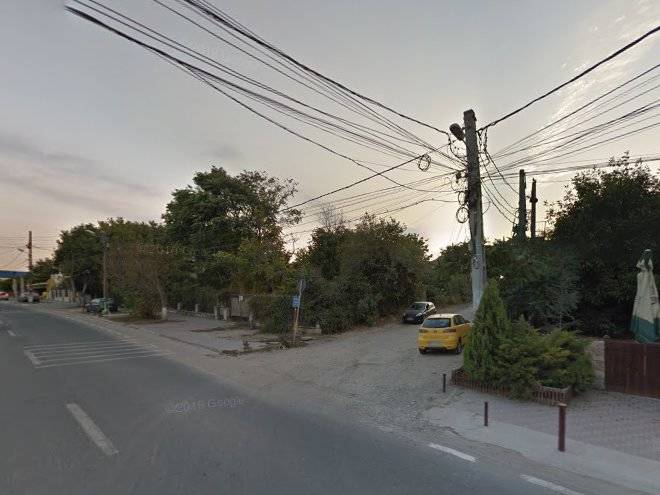 The pines experiment favelas