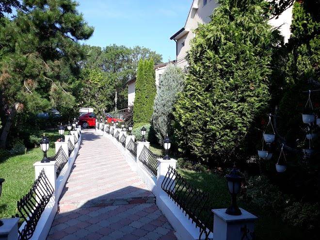 Miruna Valentin Image