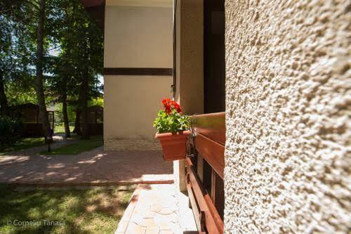 Vila 6 neptun olimp