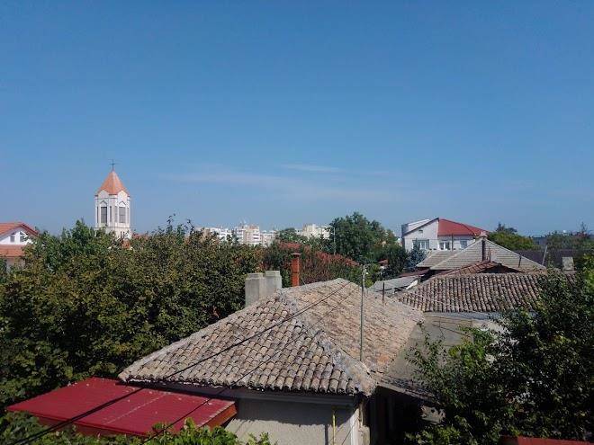 Vila angi