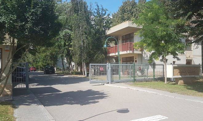 Vila codrin