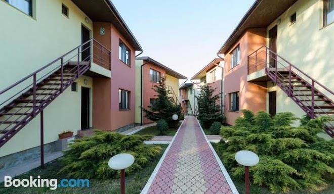 Vilele Soarelui Image