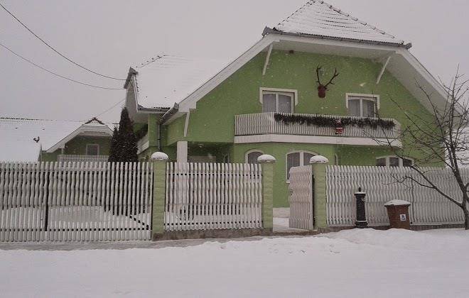 Hajnal Vendeghaz Image