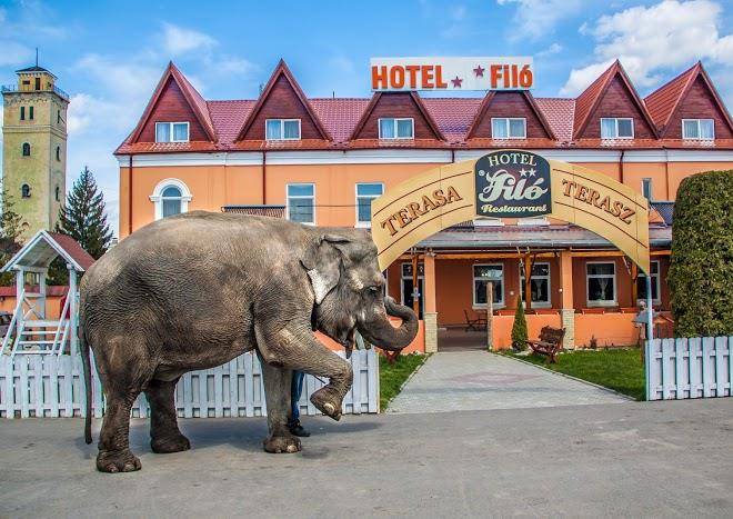 Hotel filo