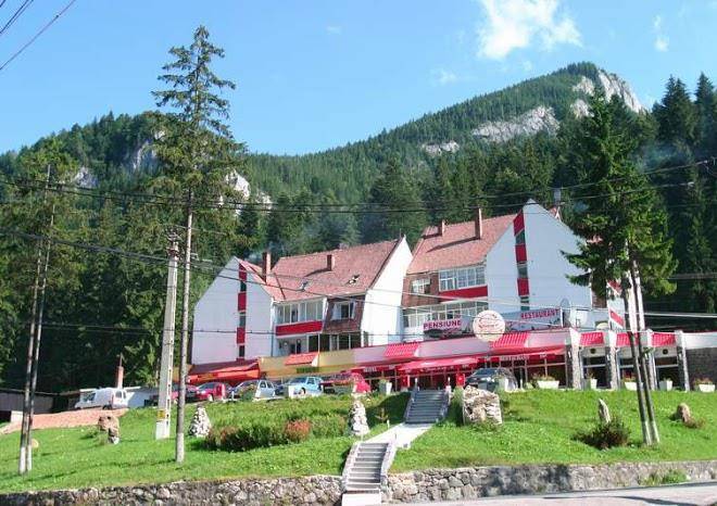 Edelweiss