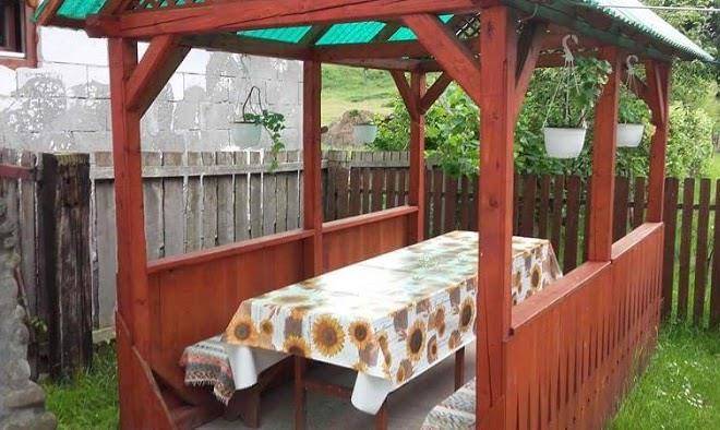 Anna Vendeghaz Image