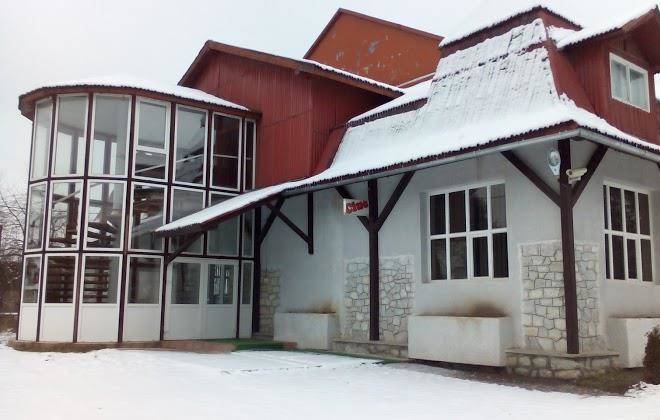 Hotel bradul argintiu