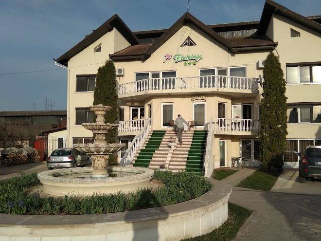 Vila flamingo