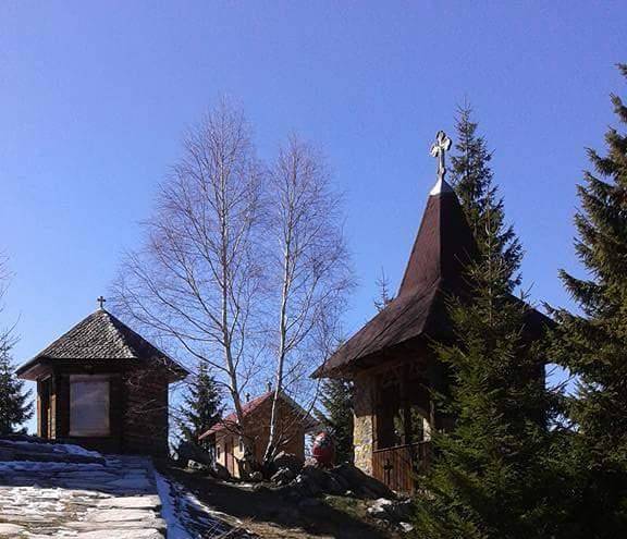 Vila ursu straja
