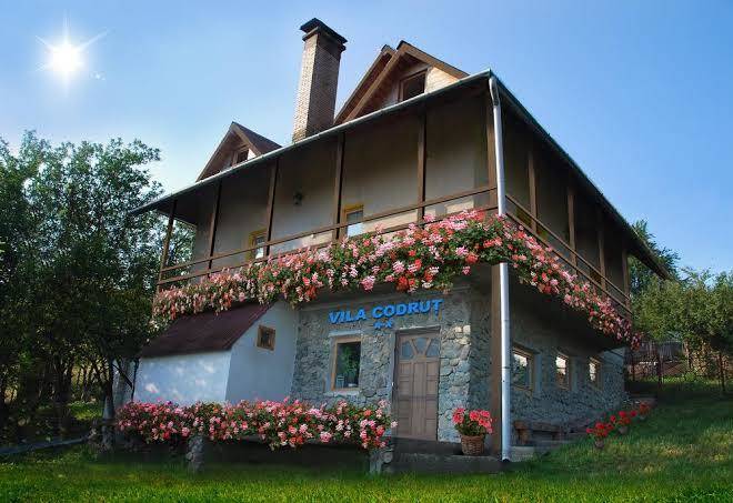 Cabana codru